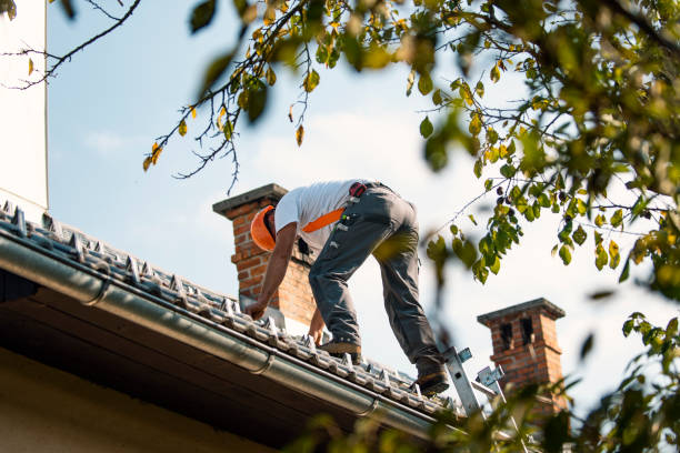 Best Roof Gutter Cleaning  in Palmer, TX